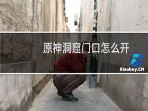 原神洞窟门口怎么开