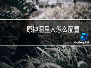 原神洞里人怎么配置