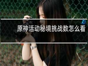 原神活动秘境挑战数怎么看