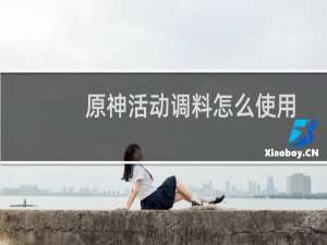 原神活动调料怎么使用