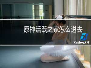 原神活跃之家怎么进去