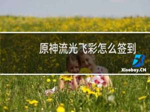 原神流光飞彩怎么签到