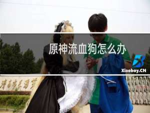 原神流血狗怎么办