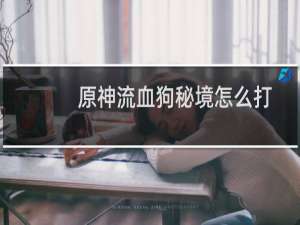原神流血狗秘境怎么打