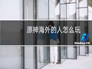 原神海外的人怎么玩