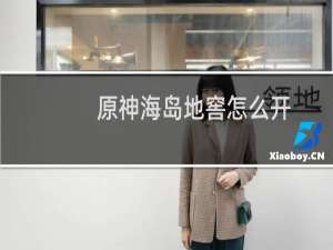 原神海岛地窖怎么开