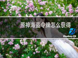 原神海盗令牌怎么获得