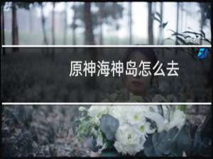 原神海神岛怎么去