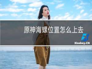 原神海螺位置怎么上去