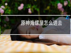 原神海螺屋怎么进去