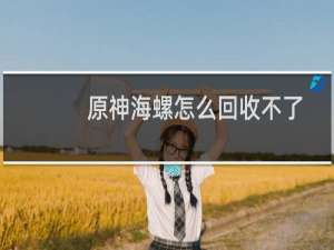 原神海螺怎么回收不了