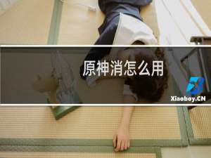 原神消怎么用
