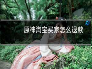 原神淘宝买家怎么退款