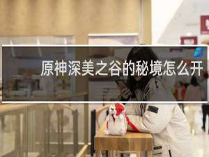 原神深美之谷的秘境怎么开