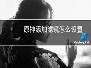 原神添加滤镜怎么设置