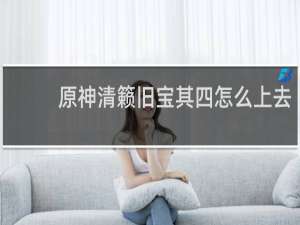 原神清籁旧宝其四怎么上去