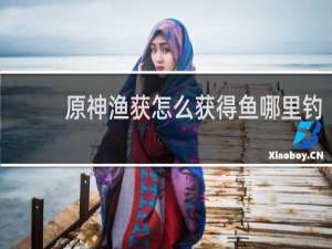 原神渔获怎么获得鱼哪里钓