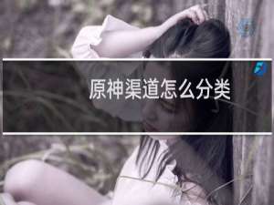 原神渠道怎么分类