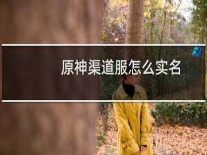 原神渠道服怎么实名