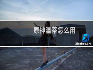 原神温蒂怎么用