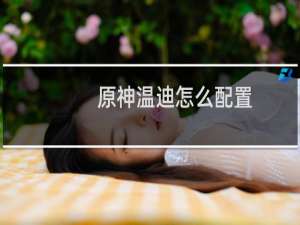原神温迪怎么配置