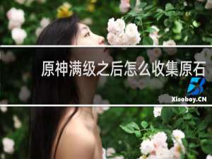 原神满级之后怎么收集原石