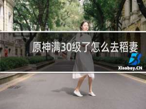 原神满30级了怎么去稻妻