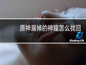 原神漏掉的神瞳怎么找回
