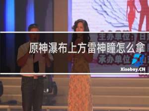 原神瀑布上方雷神瞳怎么拿