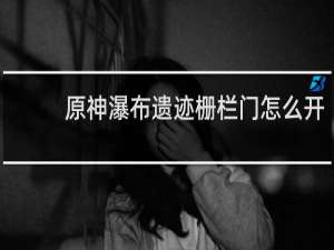 原神瀑布遗迹栅栏门怎么开