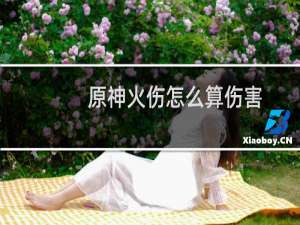 原神火伤怎么算伤害