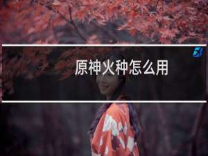 原神火种怎么用