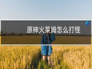 原神火莱姆怎么打怪