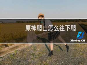 原神爬山怎么往下爬