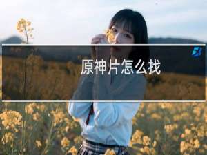 原神片怎么找