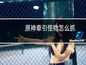 原神牵引怪物怎么抓