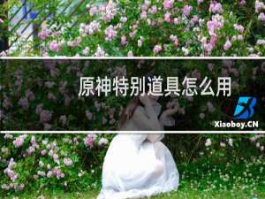 原神特别道具怎么用