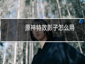 原神特效影子怎么用