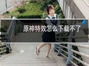原神特效怎么下载不了