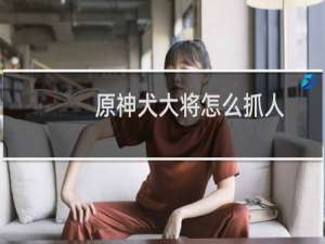 原神犬大将怎么抓人