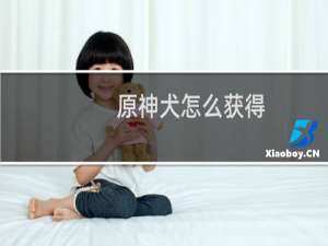 原神犬怎么获得