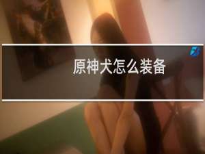 原神犬怎么装备