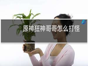 原神狂神哥哥怎么打怪