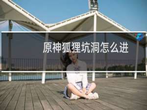 原神狐狸坑洞怎么进