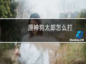 原神狗太郎怎么打
