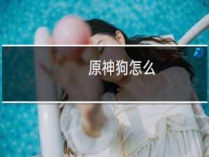 原神狗怎么