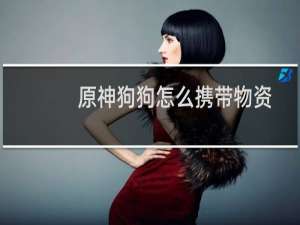 原神狗狗怎么携带物资