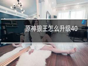 原神狼王怎么升级40