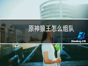 原神狼王怎么组队