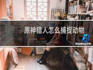 原神猎人怎么捕捉动物